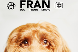 Fran dog Photo Studio