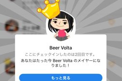 Beer Volta