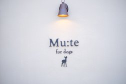 Mu:te for dogs~プライベート トリミングサロン