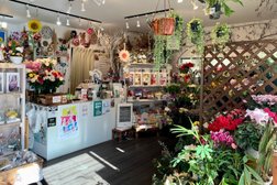 Flower Shop 楓